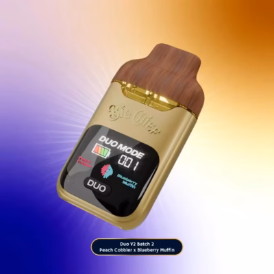 buy duo big chief v2 2g disposable online