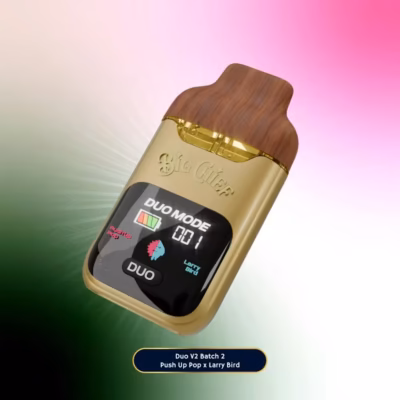buy big chief duo v2 2g disposable online