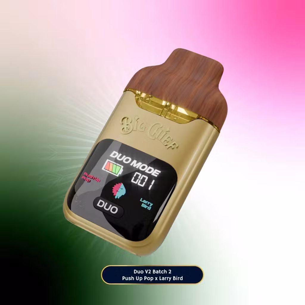 buy big chief duo v2 2g disposable online