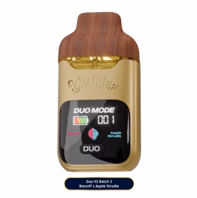 buy big chief duo v2 disposable 2g online