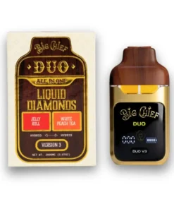 buy big chief carts duo v3 2g disposable online