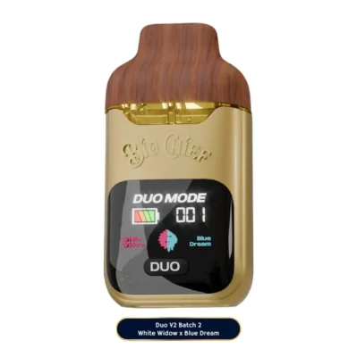 buy big chief v2 2g disposable online